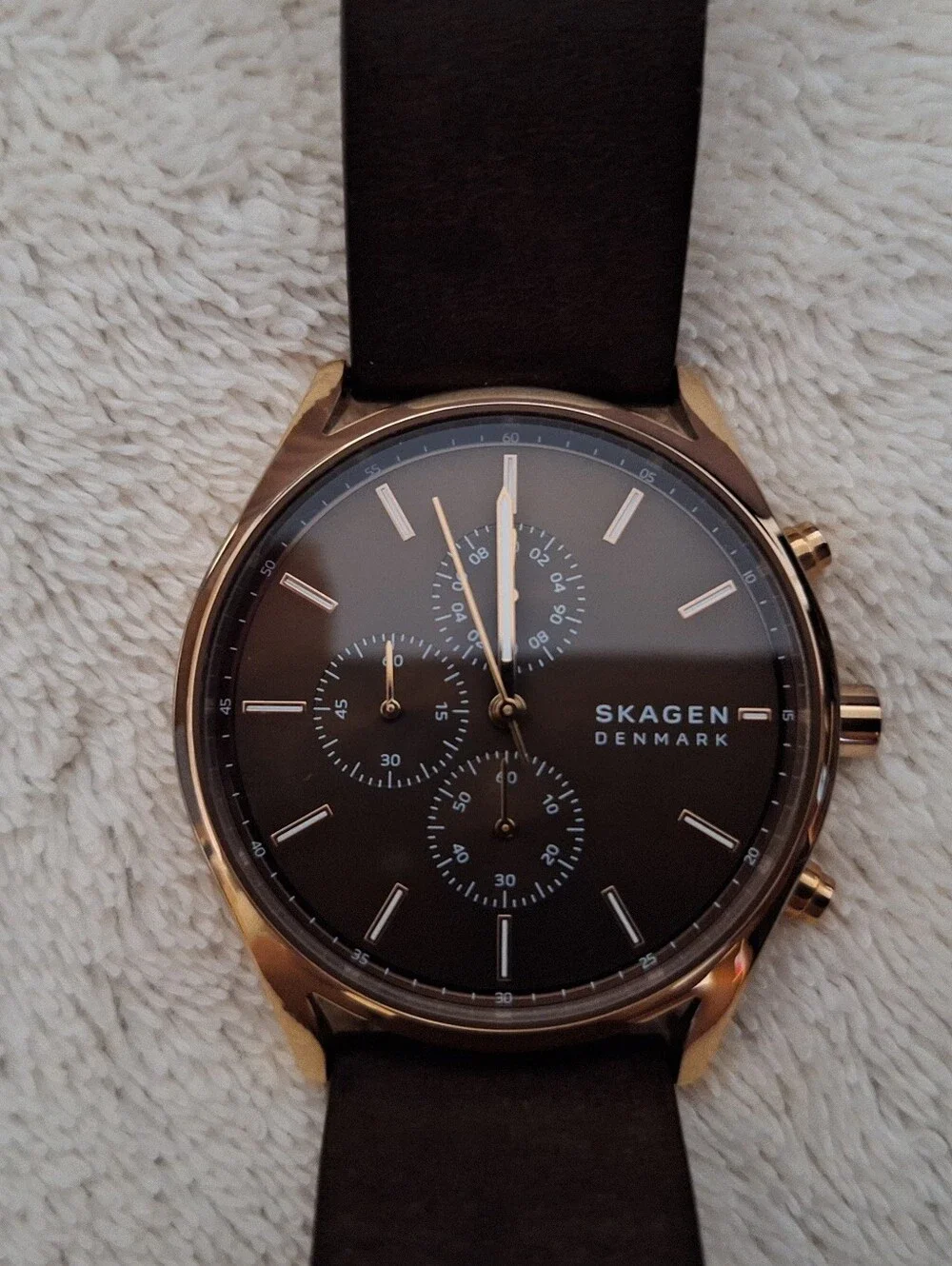 Mens Skagen Denmark Watch Rose Gold/ Burgundy